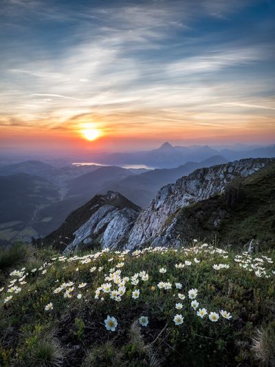 watching the sunrise